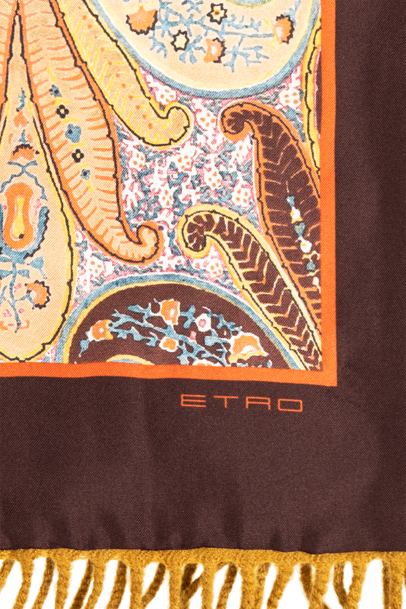Multicolour Scarf with logo Etro - SchaferandweinerShops